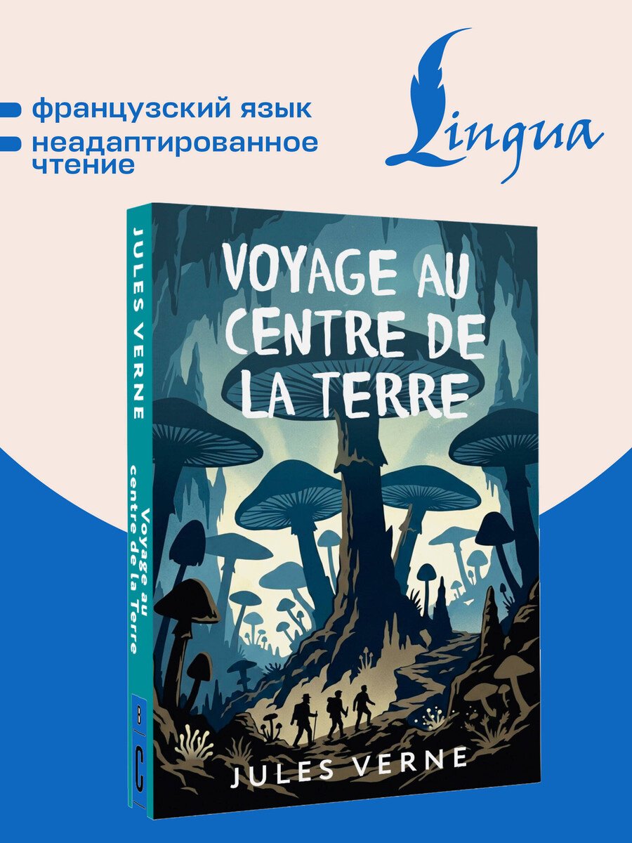 Книга Верн Ж.: Verne J.: Voyage au centre de la Terre купить,NaN