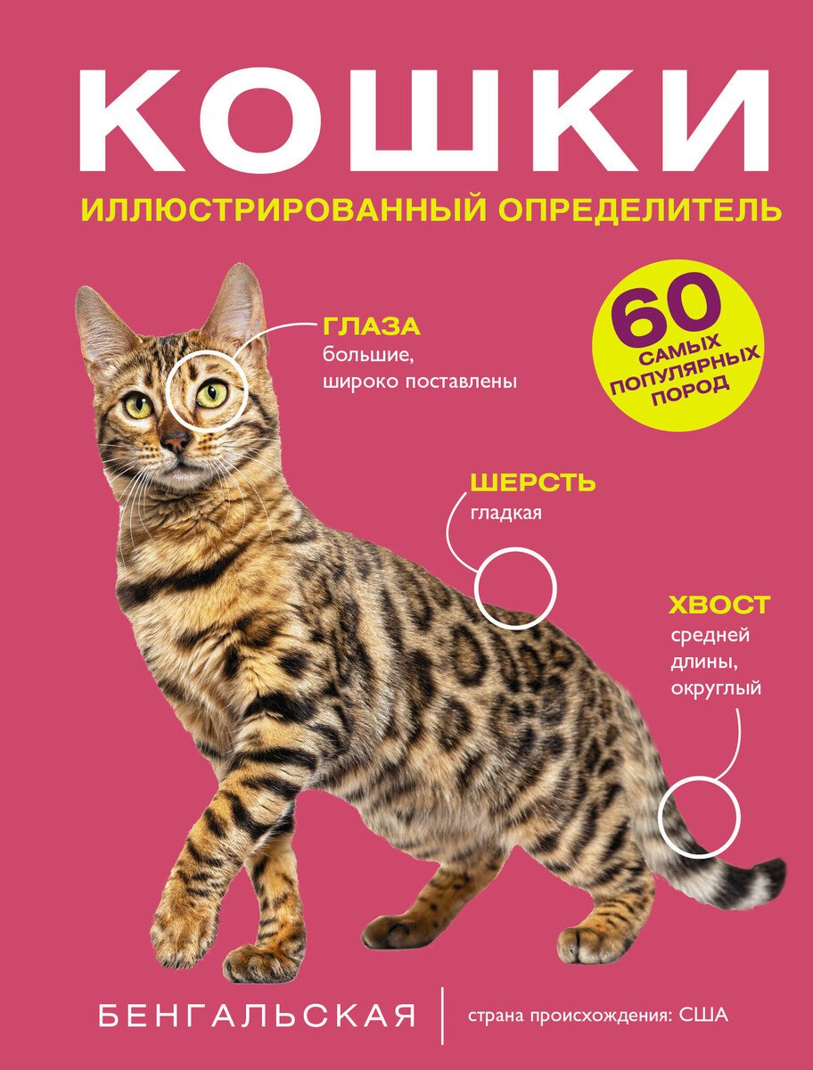 Книга Смирнов Д. С., Спектор А. А.: Смирнов Д. С., Спектор А. А.: Кошки. 60 самых популярных пород. Иллюстрированный определитель купить,NaN