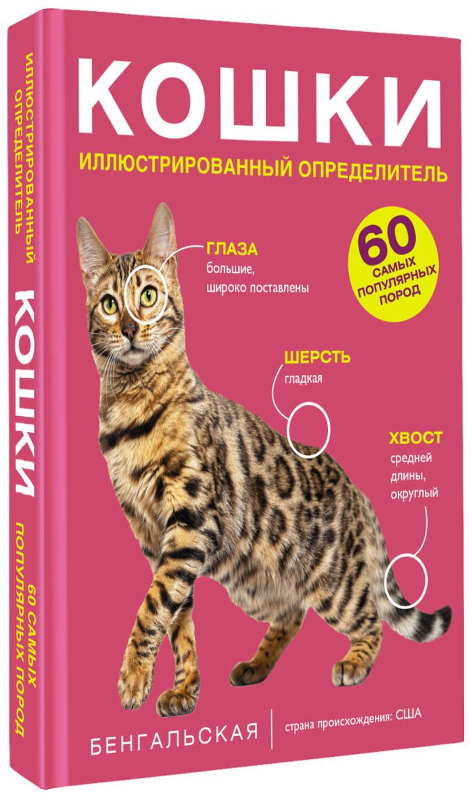 Книга Смирнов Д. С., Спектор А. А.: Смирнов Д. С., Спектор А. А.: Кошки. 60 самых популярных пород. Иллюстрированный определитель купить,NaN