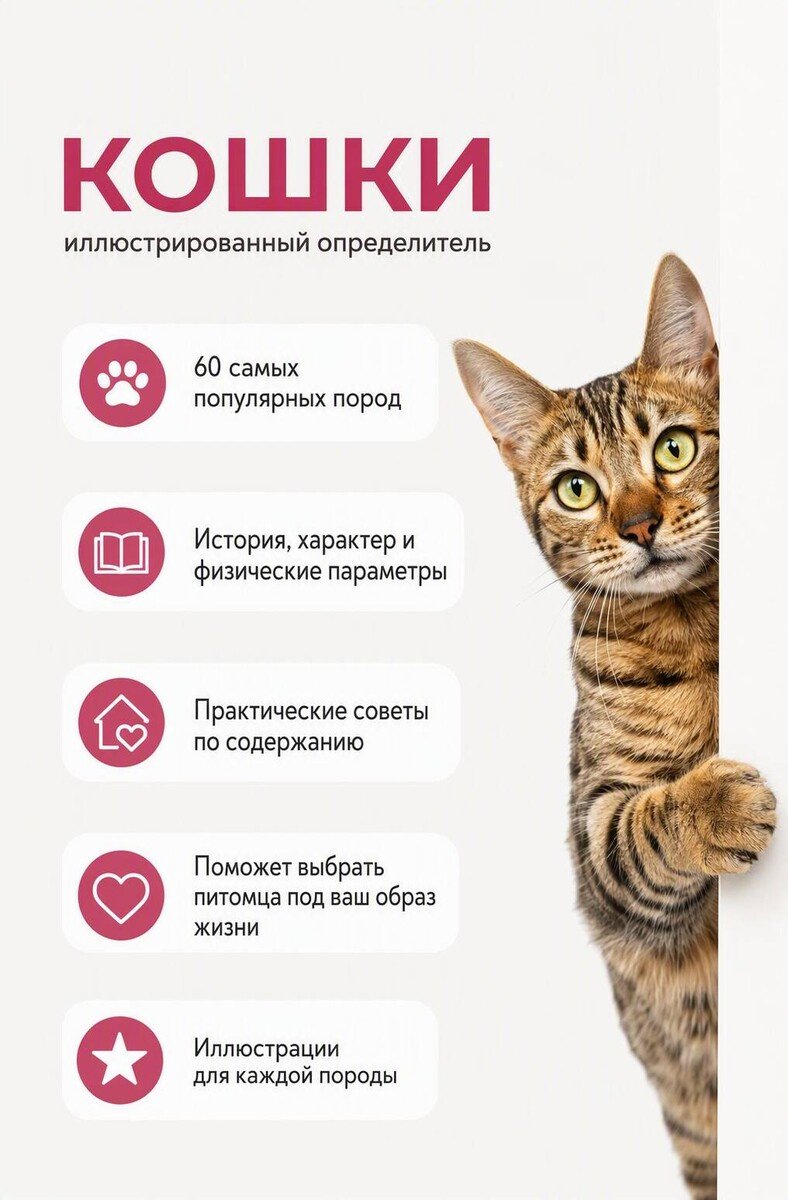 Книга Смирнов Д. С., Спектор А. А.: Смирнов Д. С., Спектор А. А.: Кошки. 60 самых популярных пород. Иллюстрированный определитель купить,NaN