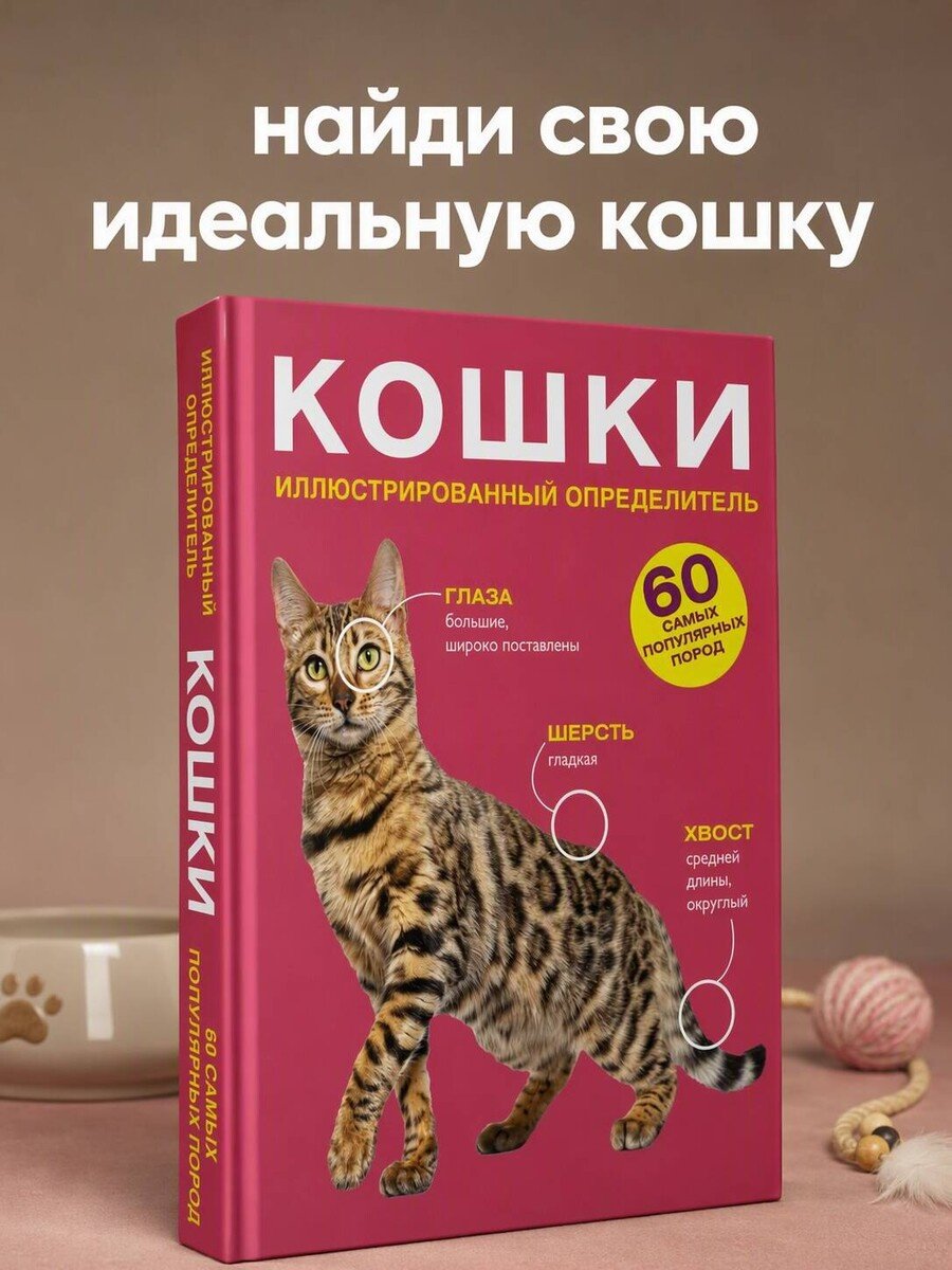 Книга Смирнов Д. С., Спектор А. А.: Смирнов Д. С., Спектор А. А.: Кошки. 60 самых популярных пород. Иллюстрированный определитель купить,NaN