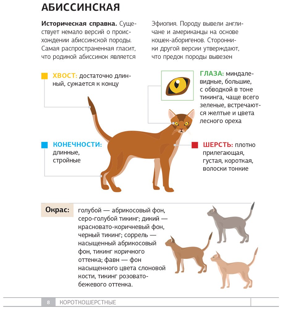 Книга Смирнов Д. С., Спектор А. А.: Смирнов Д. С., Спектор А. А.: Кошки. 60 самых популярных пород. Иллюстрированный определитель купить,NaN