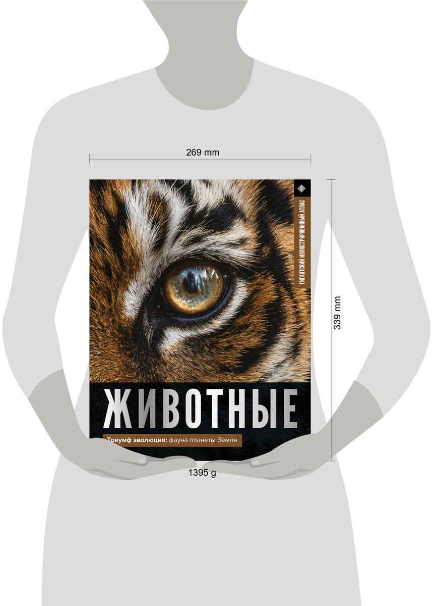 Книга Медведев Д. Ю.: Медведев Д. Ю.: Животные. Иллюстрированный атлас купить,NaN