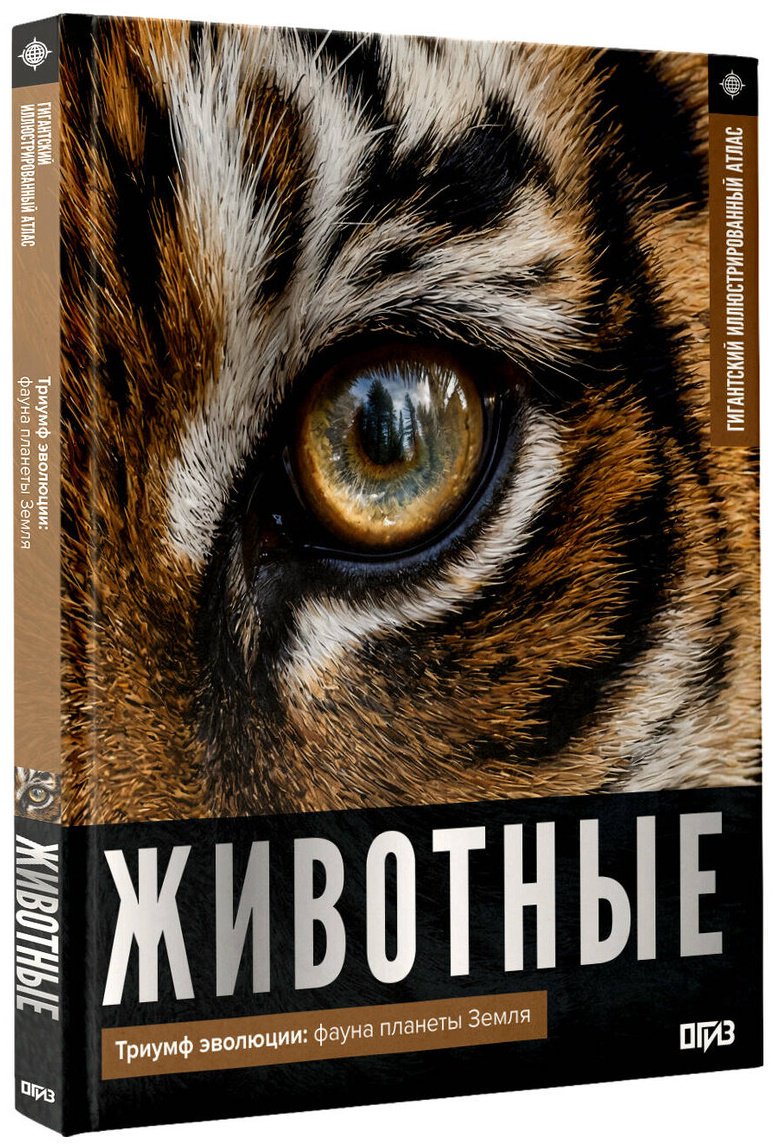 Книга Медведев Д. Ю.: Медведев Д. Ю.: Животные. Иллюстрированный атлас купить,NaN