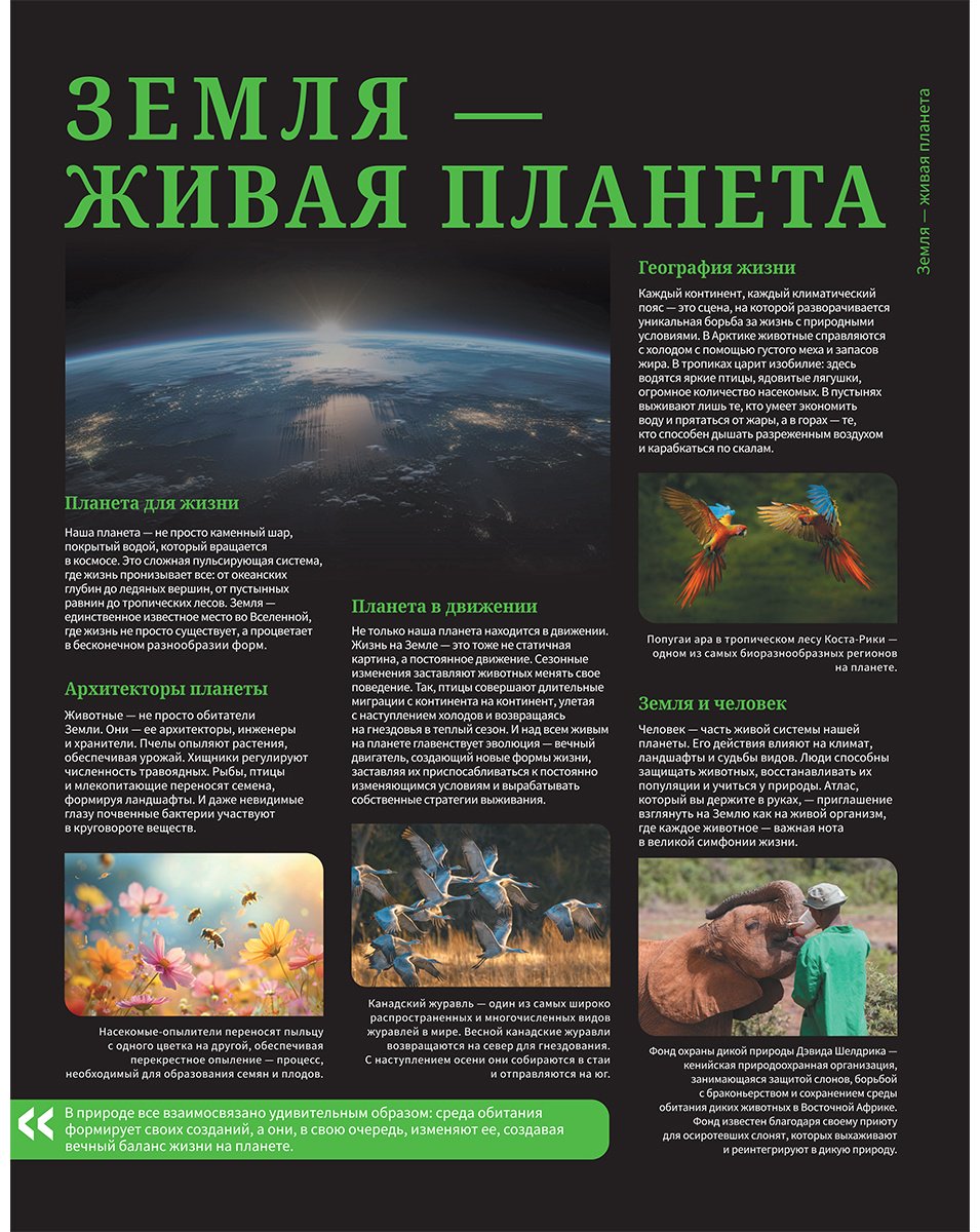Книга Медведев Д. Ю.: Медведев Д. Ю.: Животные. Иллюстрированный атлас купить,NaN