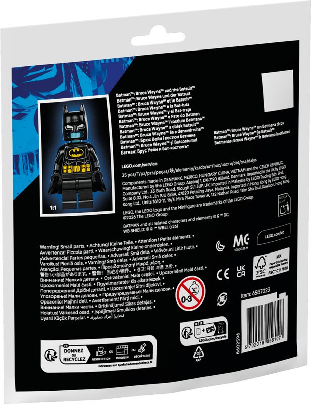 Конструктор LEGO DC. Бэтмен: Брюс Уэйн и Бэткостюм 30726, деталей 35 шт купить,NaN