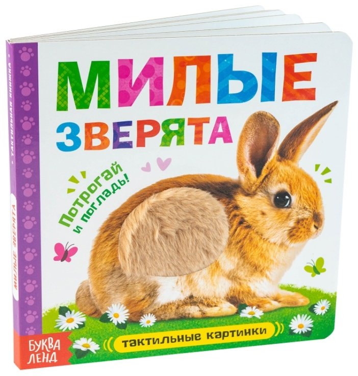Книга Сачкова Е.: Милые зверята купить,NaN