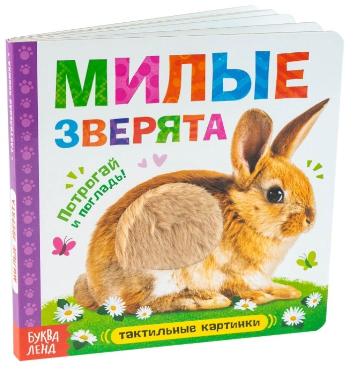 Книга Сачкова Е.: Милые зверята купить,NaN