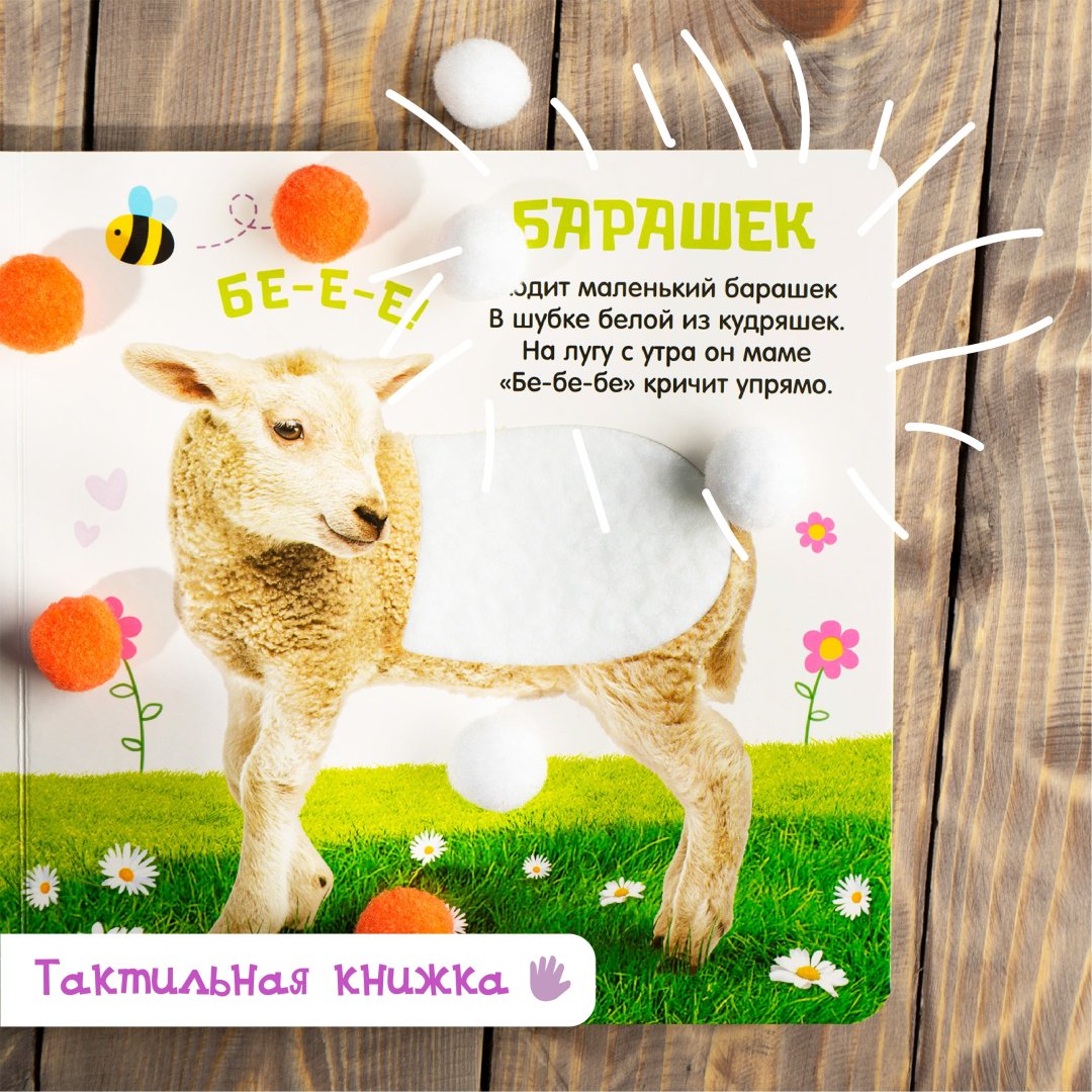 Книга Сачкова Е.: Милые зверята купить,NaN