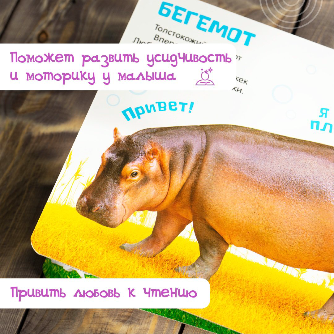 Книга Сачкова Е.: Милые зверята купить,NaN