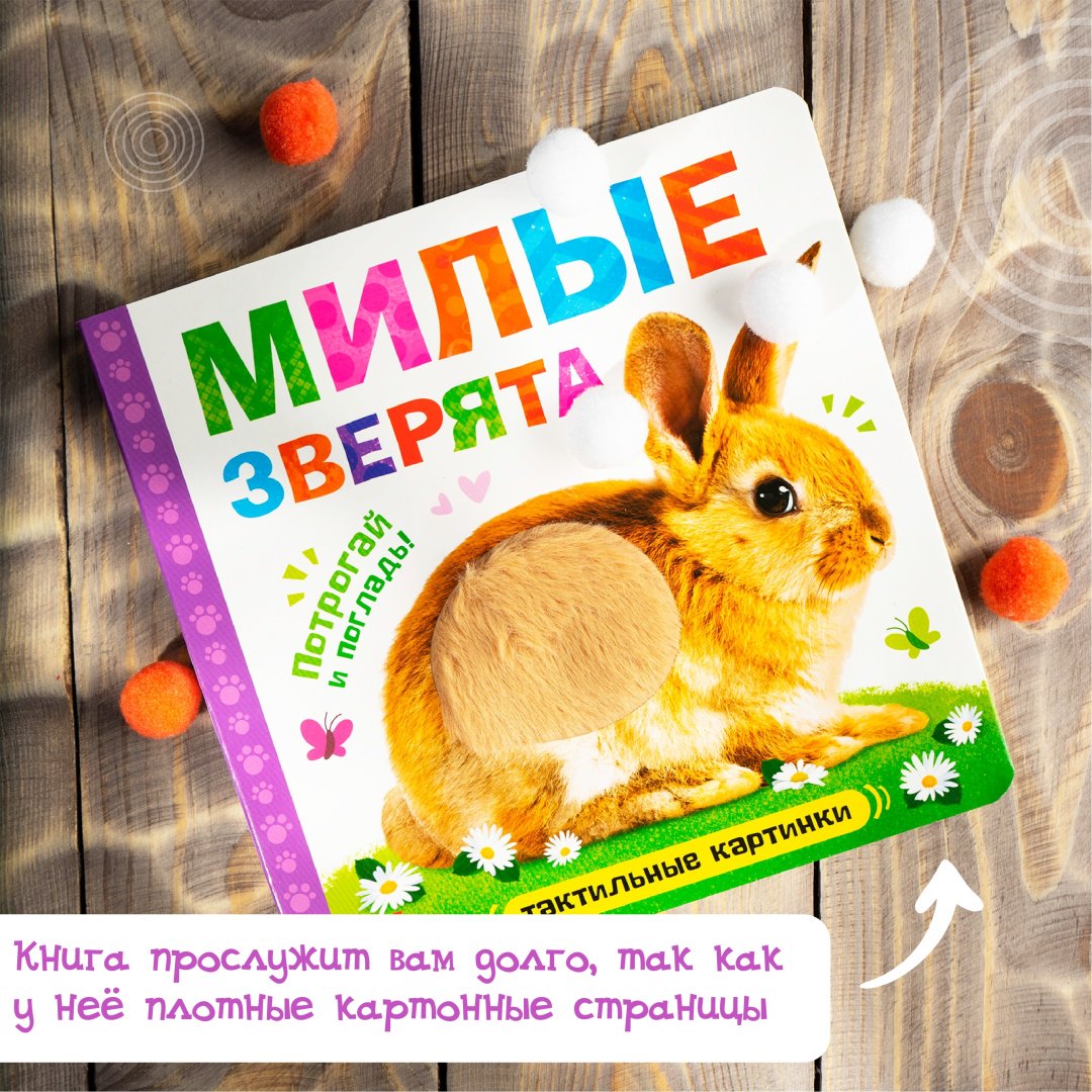 Книга Сачкова Е.: Милые зверята купить,NaN