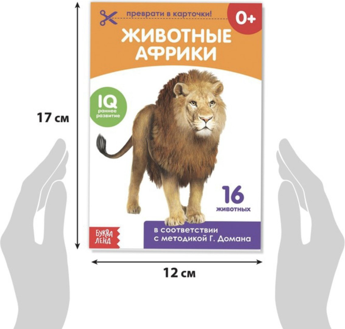 Книга Столбова А.С: Карточки Домана купить,NaN
