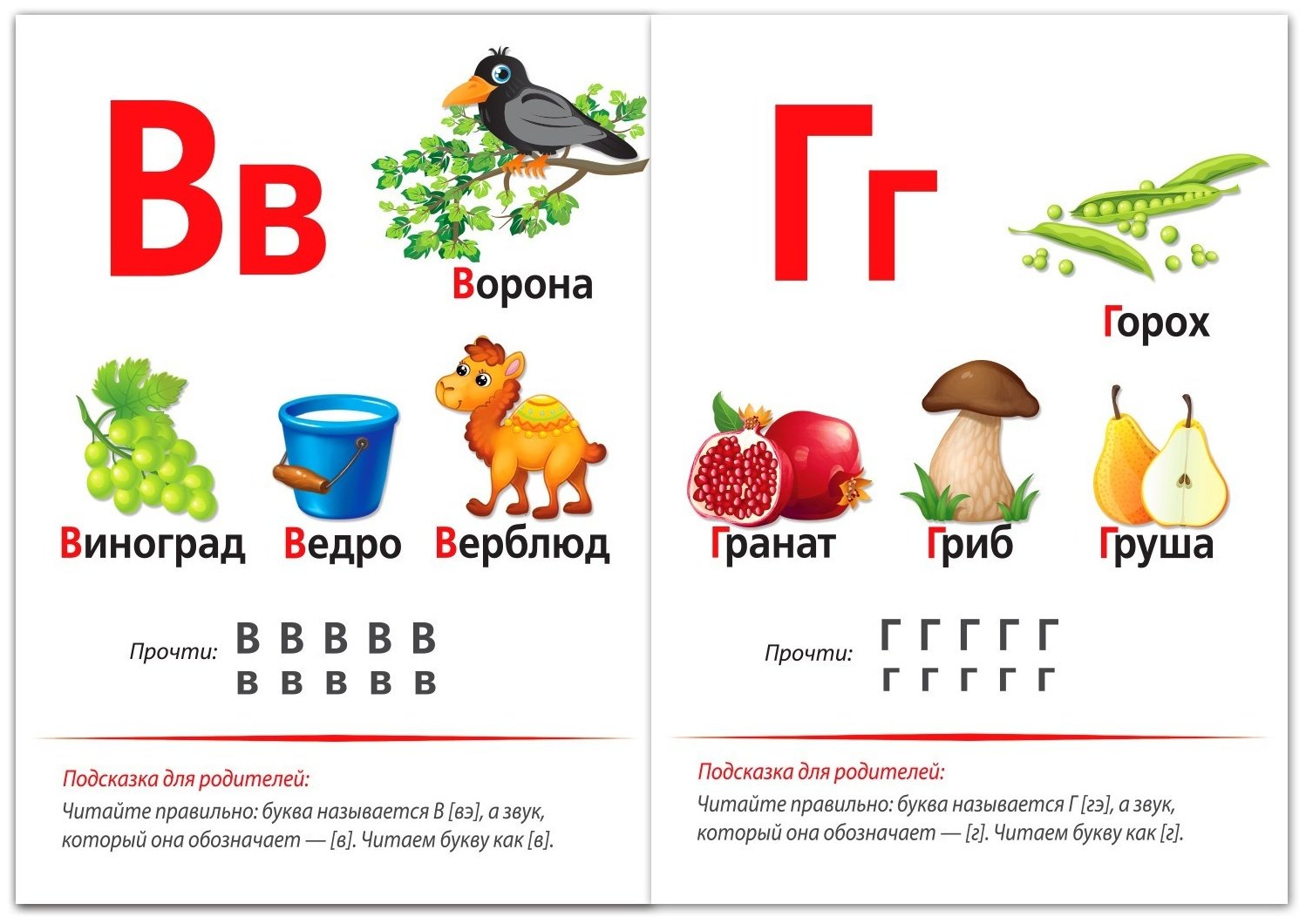 Книга Е.Сачкова: Учимся читать купить,NaN