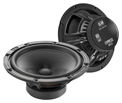 BLAM мидбасовая АС W165 ES