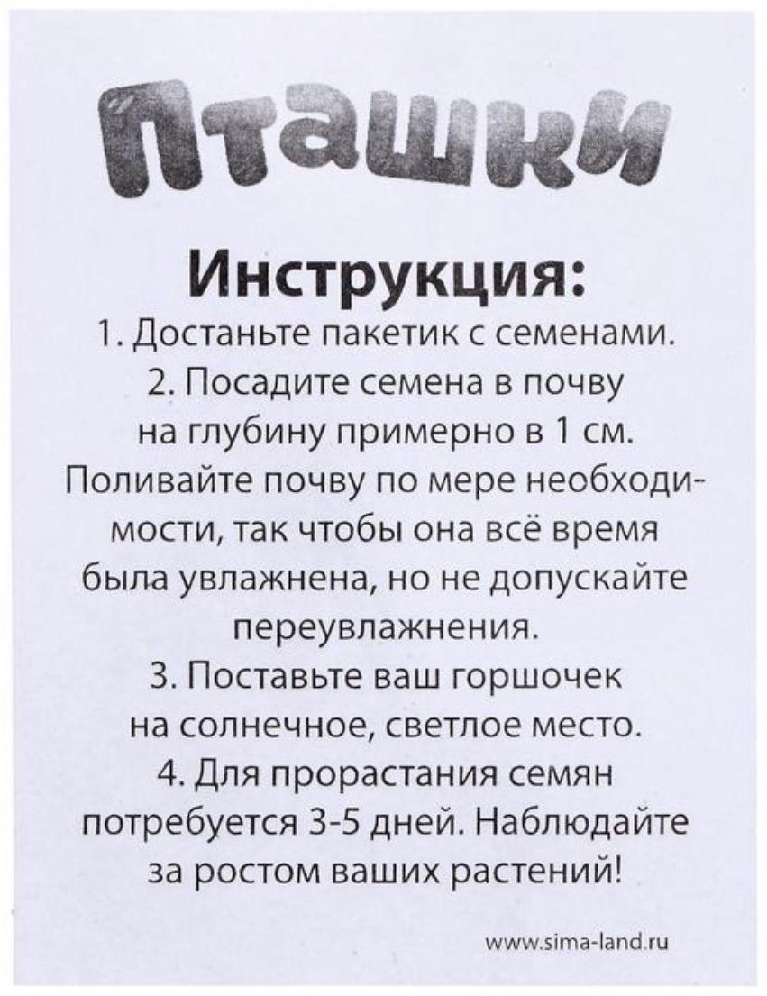 Выращивание растений Эврики Пташки выращиваем травку 5155391 купить,NaN
