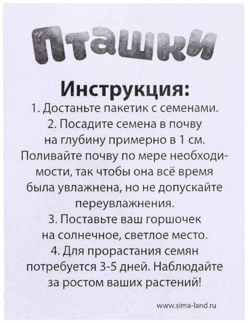 Выращивание растений Эврики Пташки выращиваем травку 5155391 купить,NaN