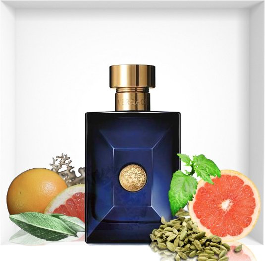 Versace Dylan Blue Pour Homme туалетная вода EDT 50 мл, для мужчин купить,26690