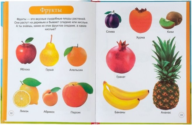 Книга Соколова Ю.: Первая энциклопедия малыша купить,3590