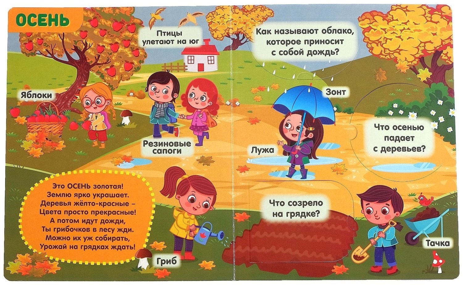 Книга Е.Сачкова: Времена года купить,NaN