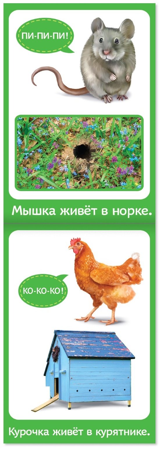Книга Е.Сачкова: Растём вместе купить,NaN