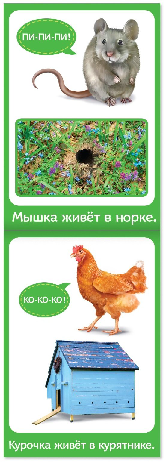 Книга Е.Сачкова: Растём вместе купить,NaN