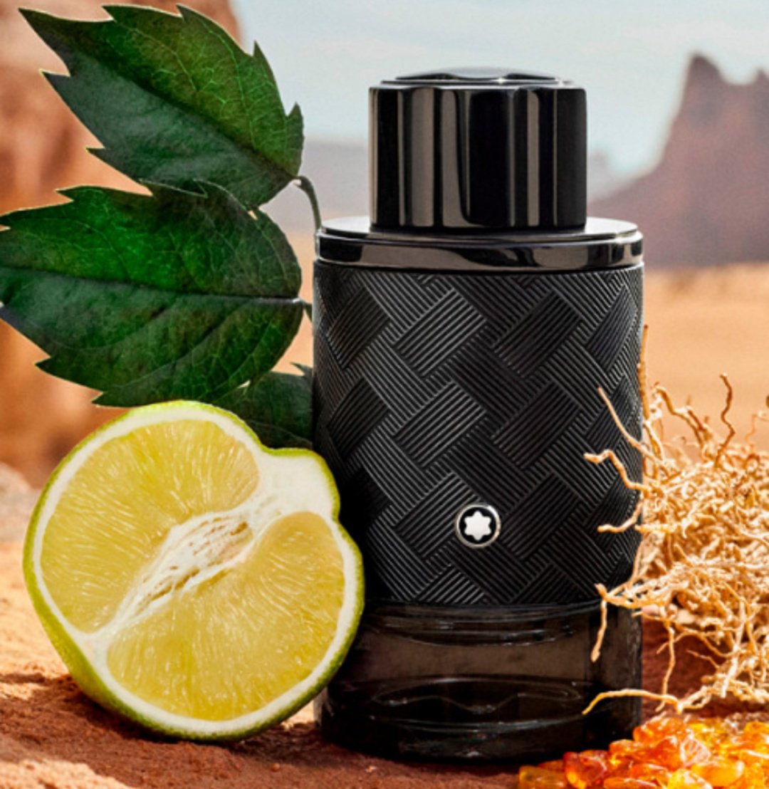 MONTBLANC Explorer Extreme духи PARFUM 100 мл, для мужчин купить,72500
