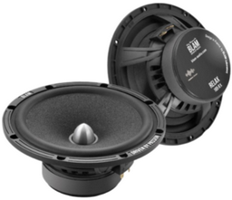 BLAM мидбасовая АС W165 ES