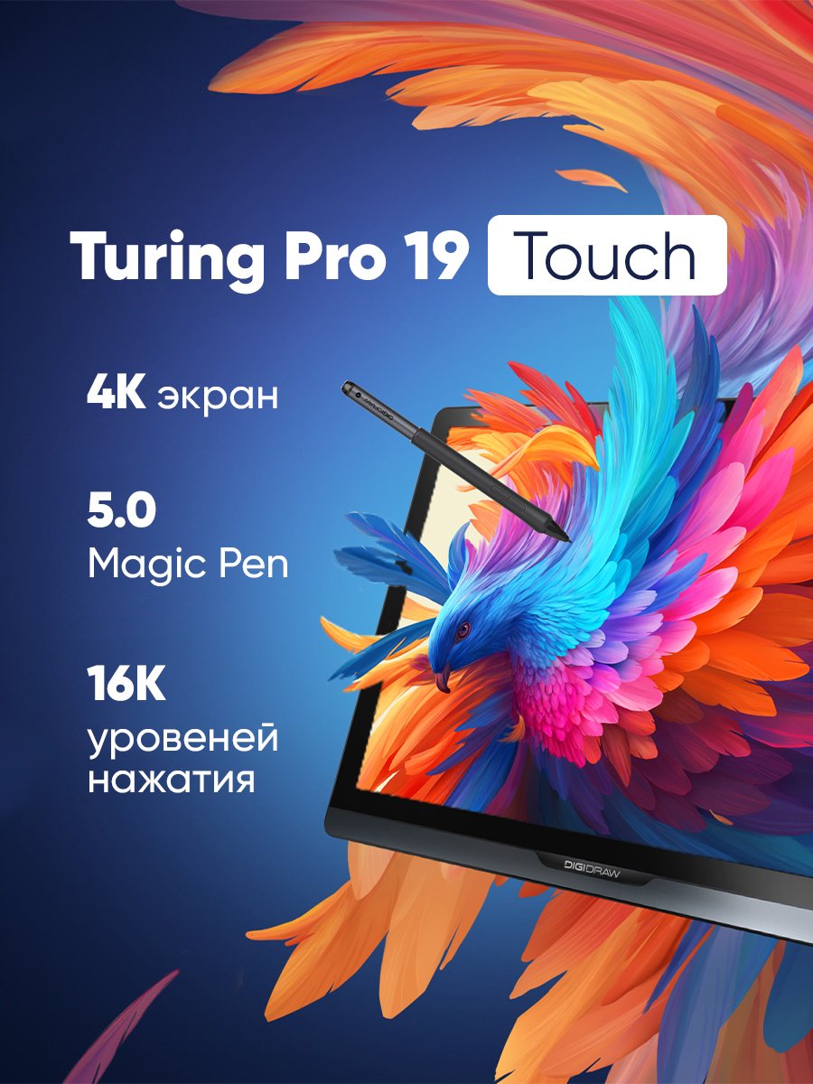 Графический планшет DIGIDRAW Turing Pro 19 Touch D1901T серый