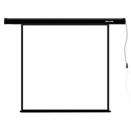 Экран моторизированный Deluxe DLS-E203x 80"х80" белый