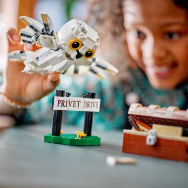Конструктор LEGO Хедвиг на Тисовой улице, 4 Harry Potter 76425, деталей 337 шт купить,NaN