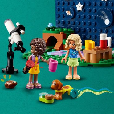 Конструктор LEGO Кемпинговый автомобиль для наблюдения за звездами Friends 42603, деталей 364 шт купить,0