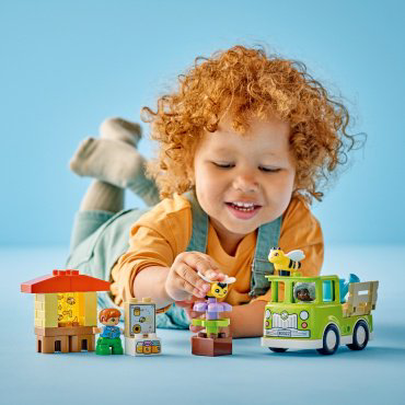 Конструктор LEGO Пчелиная ферма DUPLO 10419, деталей 22 шт купить,NaN