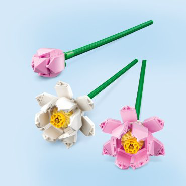 Конструктор LEGO Цветы лотоса Iconic 40647, деталей 220 шт купить,NaN