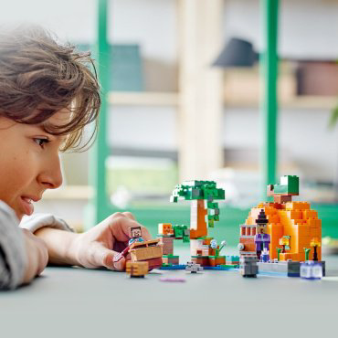 Конструктор LEGO Тыквенная ферма 21248, деталей 257 шт купить,NaN