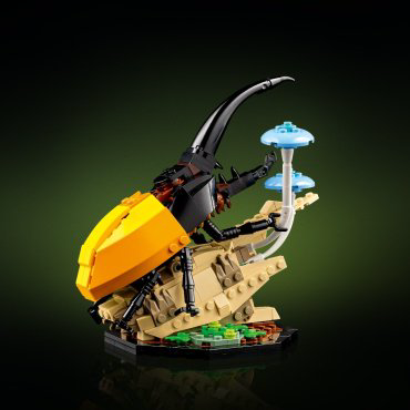 Конструктор LEGO Коллекция насекомых Ideas 21342, деталей 1111 шт купить,NaN