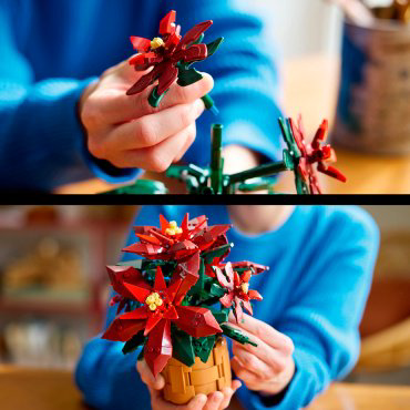 Конструктор LEGO Пуансеттия Botanicals 10370, деталей 608 шт купить,NaN