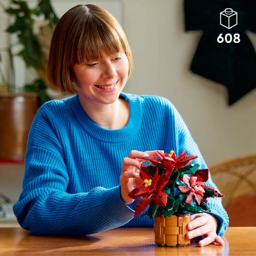 Конструктор LEGO Пуансеттия Botanicals 10370, деталей 608 шт купить,NaN