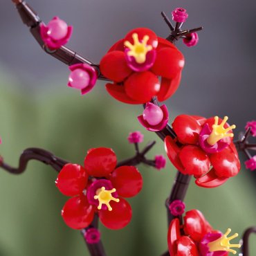 Конструктор LEGO Цветущая слива Botanicals 10369, деталей 327 шт