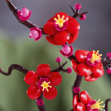Конструктор LEGO Цветущая слива Botanicals 10369, деталей 327 шт купить,NaN