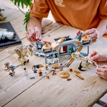 Конструктор LEGO Центр для посетителей: Т-рекс против Раптора 76961, деталей 693 шт купить,NaN