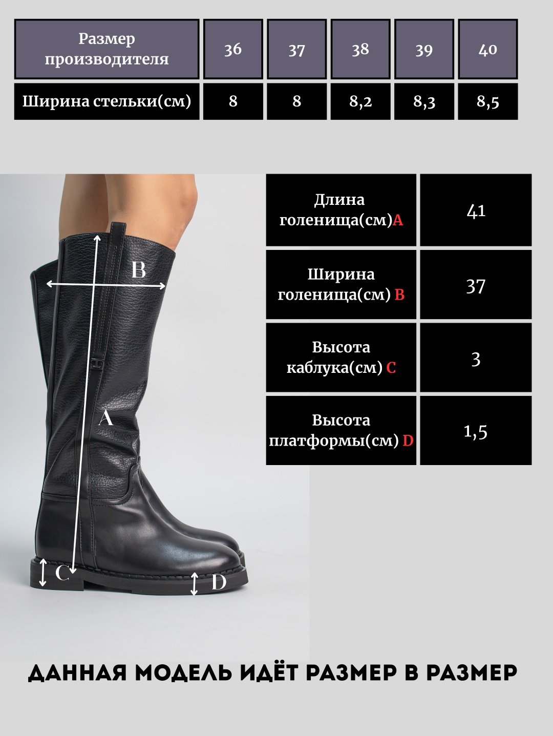 Сапоги alinashoes black 39 купить,NaN