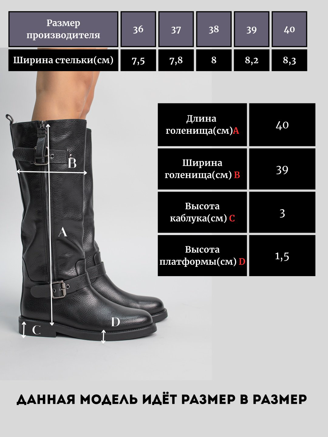 Сапоги alinashoes black 40 купить,NaN