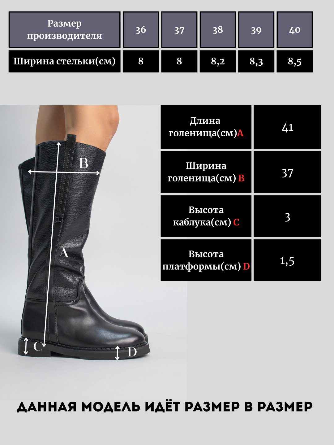 Сапоги alinashoes black 40 купить,NaN