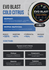 Предтренировочный комплекс Elite Fungi Evo Blast Cold Citrus жевательные подушечки цитрус 100 г 20 таблеток