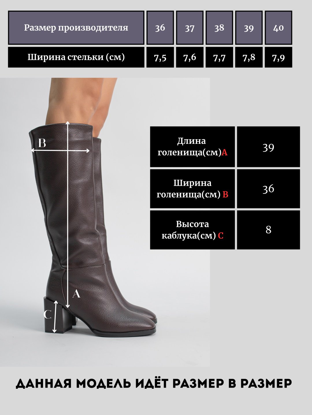 Сапоги alinashoes brown 37 купить,NaN
