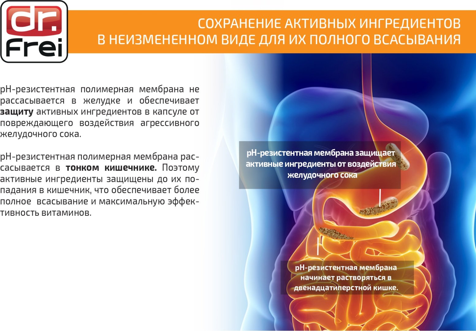 Dr.Frei Биологически активная добавка к пище TM Dr.Frei "Кальциум Комплекс"("Calcium Complex") капсулы капсулы 60 шт купить,NaN