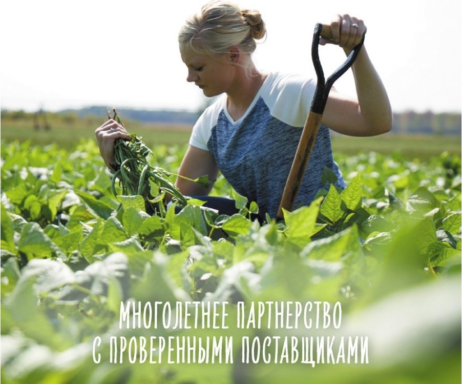 Детское пюре Gerber Только кабачки 80 г, с 4 месяцев купить,NaN