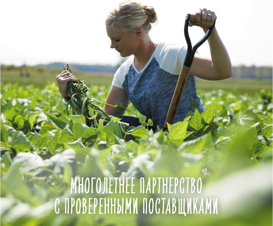 Детское пюре Gerber Только кабачки 80 г, с 4 месяцев купить,NaN
