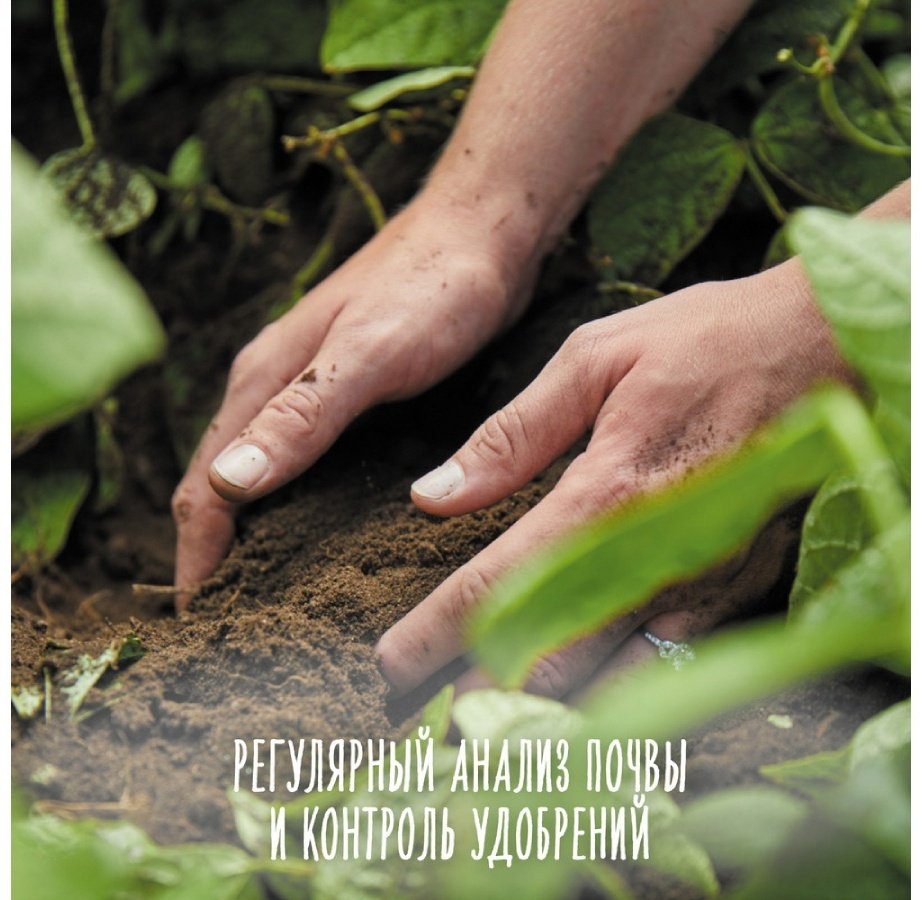 Детское пюре Gerber Только кабачки 80 г, с 4 месяцев купить,NaN