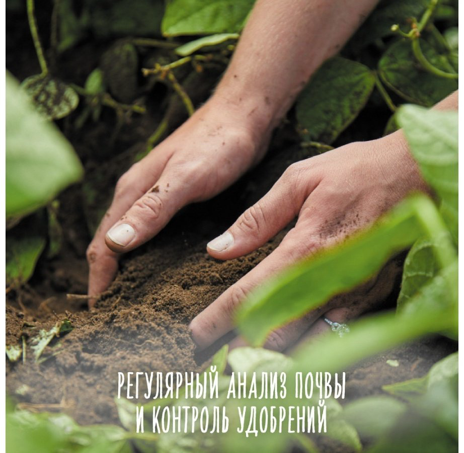 Детское пюре Gerber Только кабачки 80 г, с 4 месяцев купить,NaN
